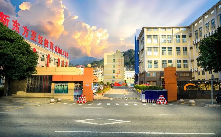择校建议
